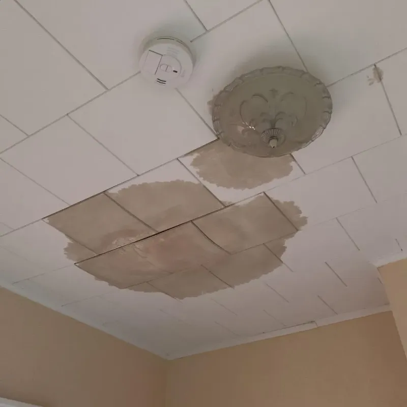 Ceiling Water Damage Repair in New Market, TN