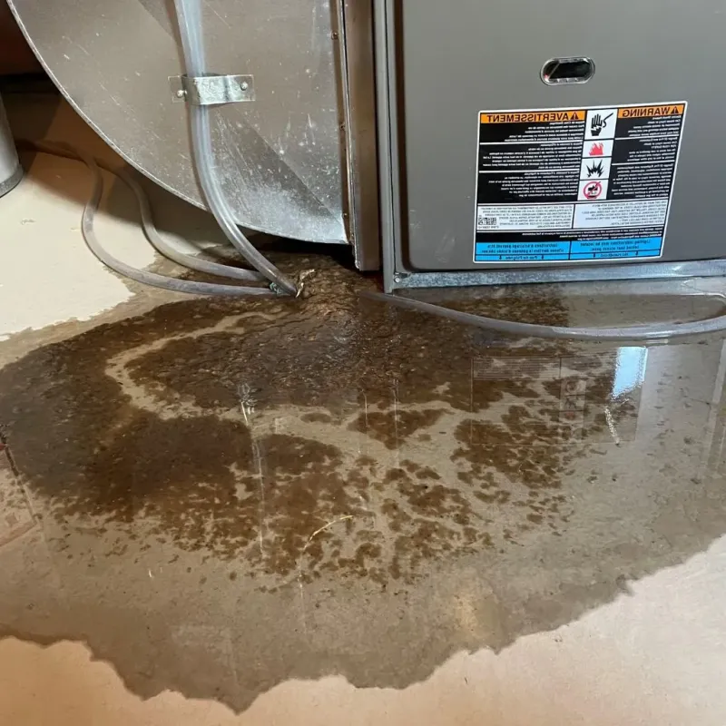 Pipe Burst and Leak Restoration in New Market, TN