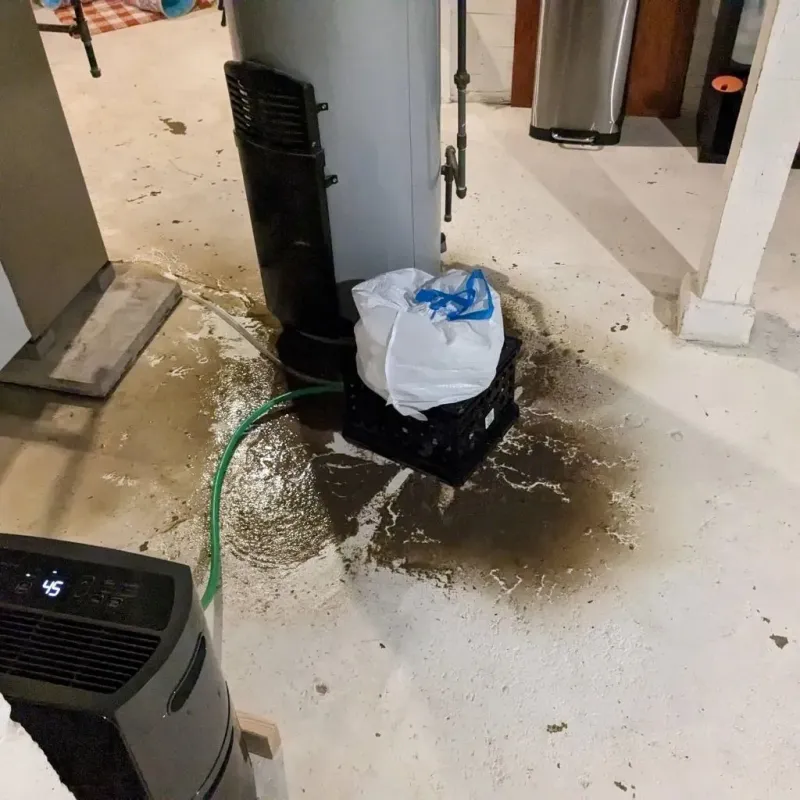 Sewage Backup Cleanup Service in New Market, TN